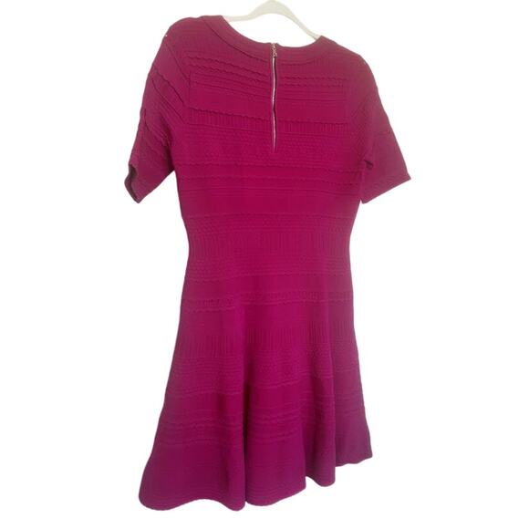 Milly Fuchsia Textured Fit & Flare Knit Dress Size L NWT - Picture 4 of 6